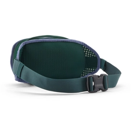 Heuptas Patagonia Unisex Fieldsmith Hip Pack Cascade Green