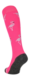 2---318.08460.010_2-_no-bg