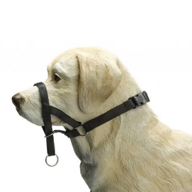 Dog Control Beeztees Zwart