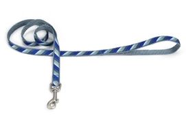 Hondenriem Beeztees Diago Blauw
