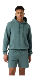 Hoodie Björn Borg Men Borg Classic Balsam Green