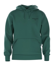 Hoodie Björn Borg Men Borg Essential 1 Posy Green