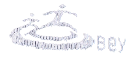 3---112470256_RSI_3-_no-bg
