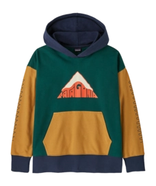 Hoodie Patagonia Kids Hoody Sweatshirt Driftways: Cascade Green
