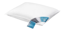 Vandyck Comfort 65 Hoofdkussen