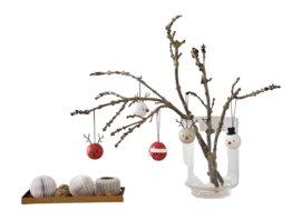 5---26097-1