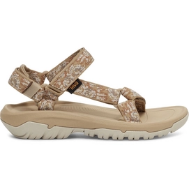 Teva Women Hurricane XLT2 Pampas Starfish