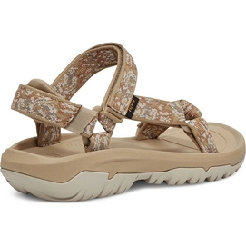 Hurricane XLT2 pampas starfish 4