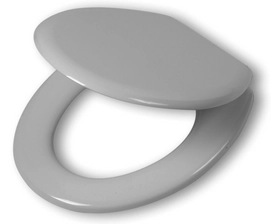 Toilet Seat Tiger Baltimore Silvery Grey