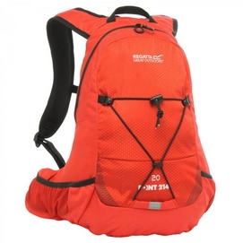 Rugzak Regatta Blackfell 20L Pepper