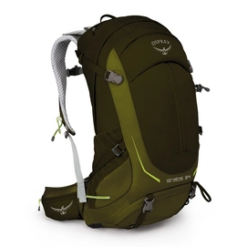 Rucksack Osprey Stratos 34 Gator Grün (S/M) Herren
