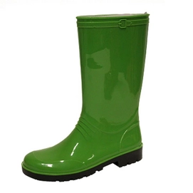 Regenlaars Gevavi Iris Groen