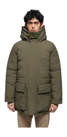 2---Povel_DuskOlive-1295-63228