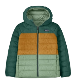 Jas Patagonia Kids Reversible Down Sweater Hoody Ellwood Green