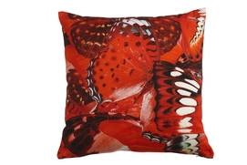 Coussin KAAT Amsterdam Wings Rouge (45 x 45 cm)