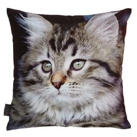 Sierkussen Kaat Kitten Grey