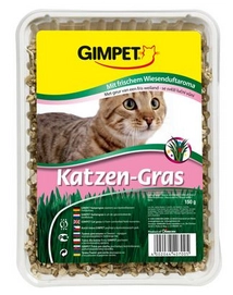 Kattensnack Gimpet Kattengras