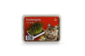 Kattengras Plastic Box Beeztees 130 gram