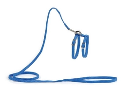 Kattentuigje Beeztees Nylon Blauw