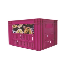 Fietskrat Kerri Crat G&F Violet