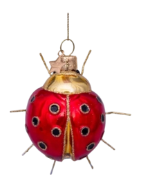 Kerstbal Vondels Ornament Glass Red/Gold Ladybug 9 cm