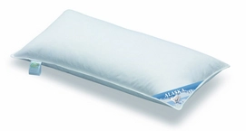 Spessarttraum Alaska Kopfkissen Mittel 30% Daunen (40x80cm)
