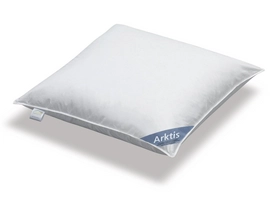 Spessarttraum Arktis Kissen Mittel (80x80cm)