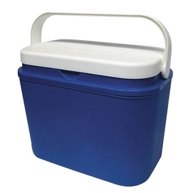 Koelbox Carpoint 10L