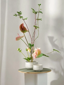 2---Moribana-hasu