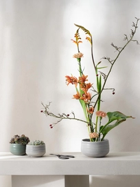 2---Moribana-ishi-matsu