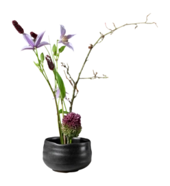2---Moribana-kombu-_no-bg