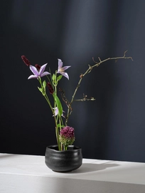 2---Moribana-kombu_b9e3b41d-3891-4b65-b1d9-d1b0883689fc