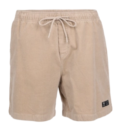 Korte broek Brunotti Men Ace Walk Shorts Feather Grey