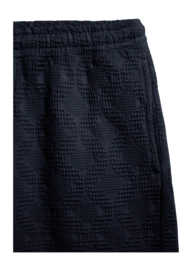 Ryan_ELVINE_shorts_dark_navy_reference_2