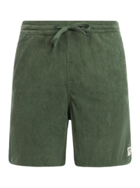 Korte Broek Protest Men PRTUleyo Thyme
