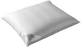 Oreiller Ducky Dons 90% Duvet de Canard 60 x 60 cm
