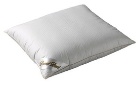 Hoofdkussen Ducky Dons Duvet Dore 15% Ganzendons