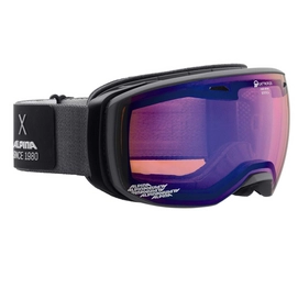 Skibrille Alpina Estetica QMM Anthracite