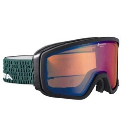 Skibrille Alpina Scarabeo QM Schwarz Matt
