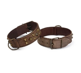 Halsband Beeztees Mohican Bruin