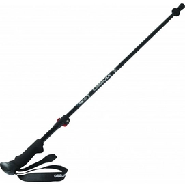Bâton de Marche Trekmates Locklite Pole
