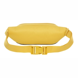 lumbar yellow 2