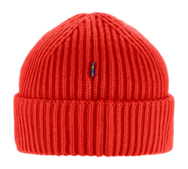 3---1960_Lite_Logo_Hat_13100234-334_B_MAIN-_no-bg