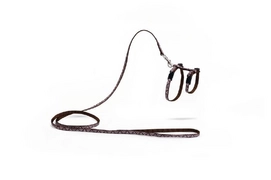 Kittentuig Beeztees Mystic Nylon Bruin