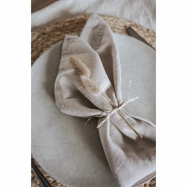 Napkins_-_2_pack-Organic_textiles-237-01_Light_Stone-2_800x