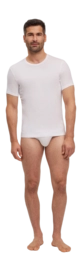 2---1850576-08dd700212327-_no-bg