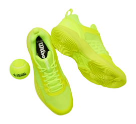 11---Wilson_FTWR_Tier_2_Tier_3_2025_10599