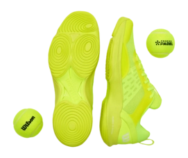 Wilson_FTWR_Tier_2_Tier_3_2025_10608