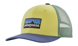 Pet Patagonia Kids Trucker Hat P-6 Logo: Nearly Green