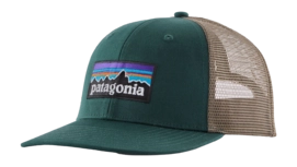 Pet Patagonia Unisex P-6 Logo Trucker Hat Cascade Green
